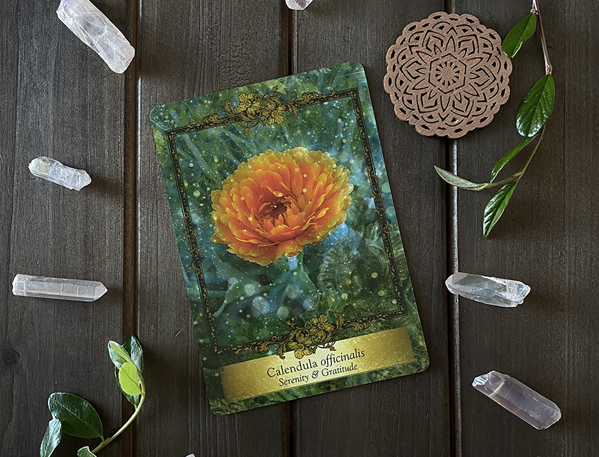 Calendula oracle card