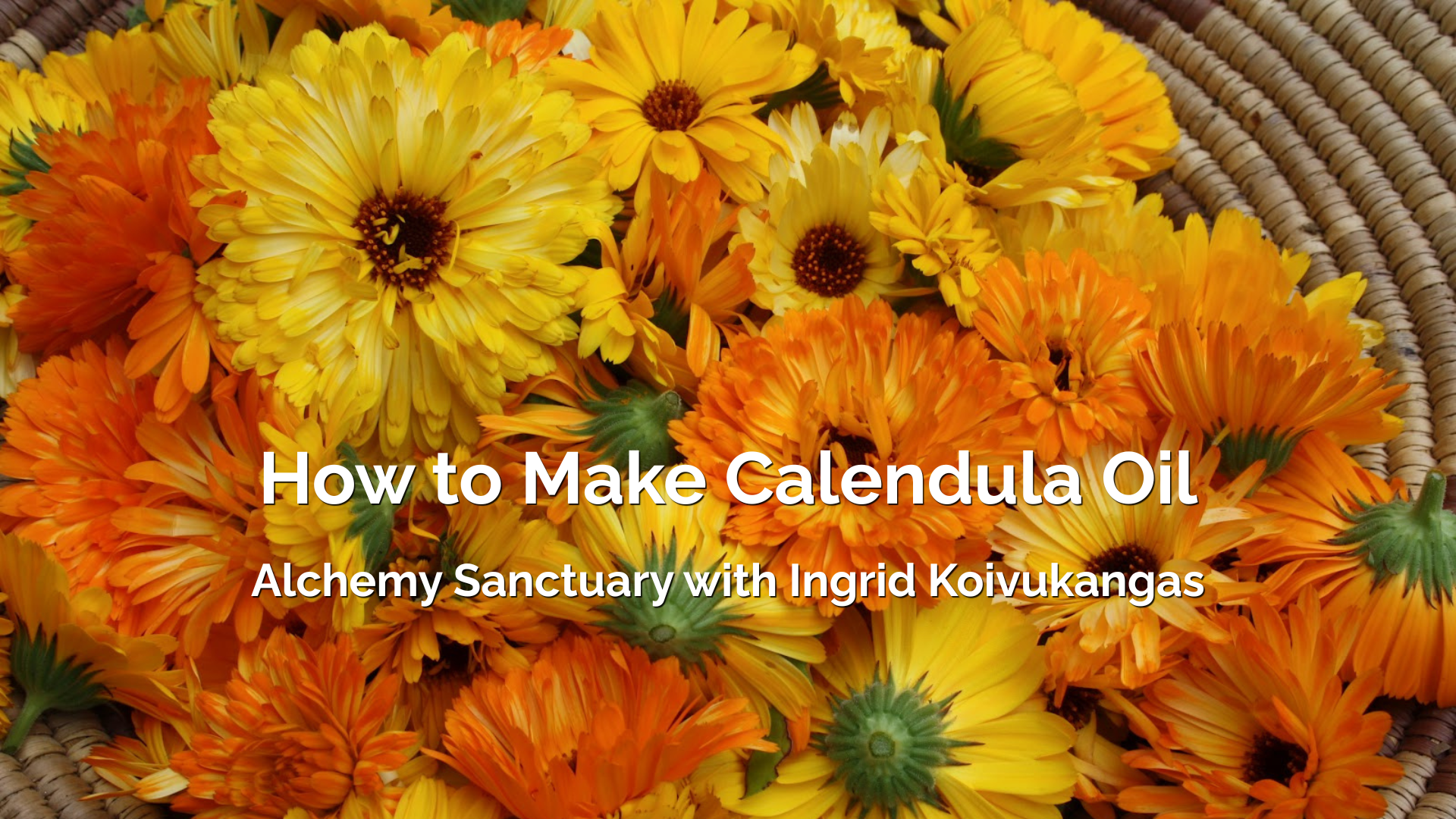 How to Make Calendula Oil